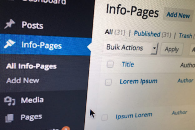 Wordpress als CMS: Seiten-Typen definieren