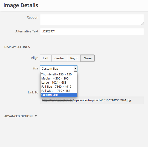 Wordpress Bild-Details – Bildgröße anpassen